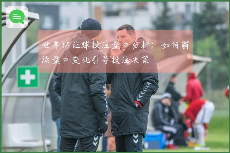 世界杯让球投注盘口分析:如何解读盘口变化引导投注决策