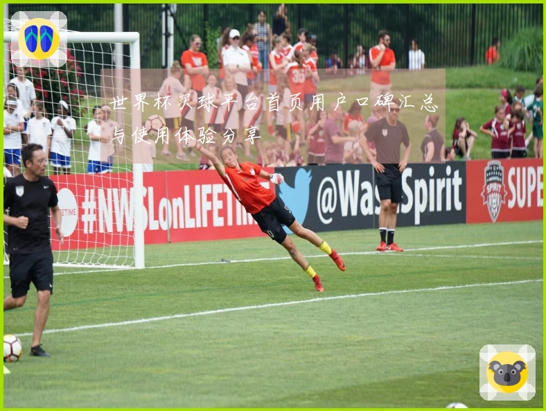 世界杯买球平台首页用户口碑汇总与使用体验分享