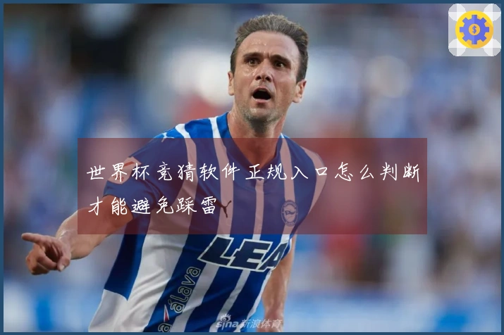 世界杯竞猜软件正规入口怎么判断才能避免踩雷