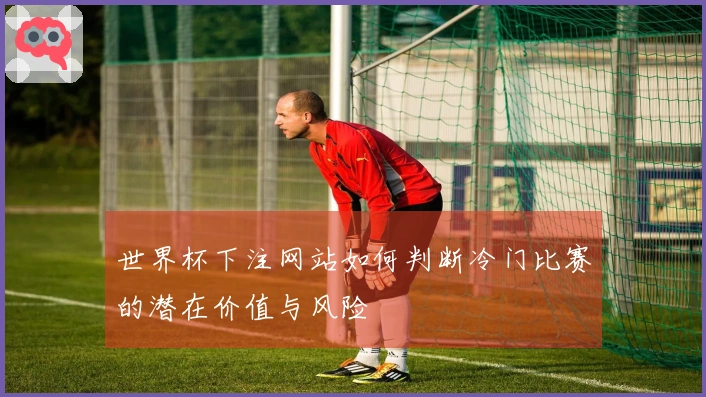 世界杯下注网站如何判断冷门比赛的潜在价值与风险