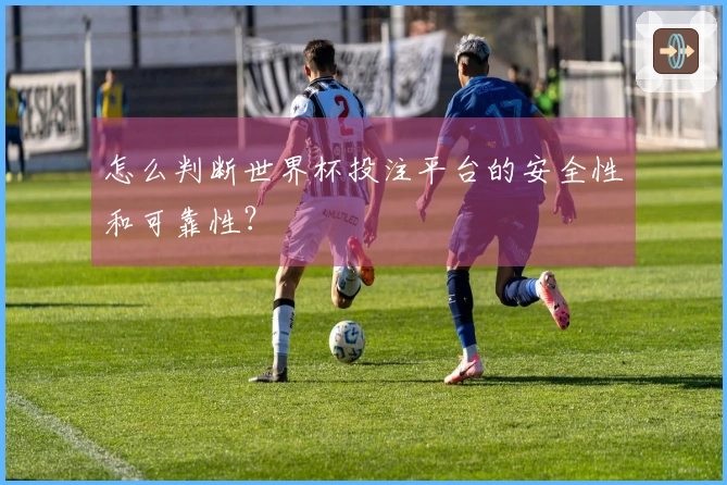 怎么判断世界杯投注平台的安全性和可靠性？