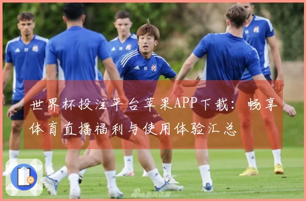 世界杯投注平台苹果APP下载：畅享体育直播福利与使用体验汇总