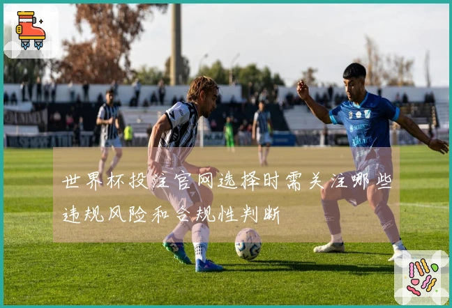 世界杯投注官网选择时需关注哪些违规风险和合规性判断