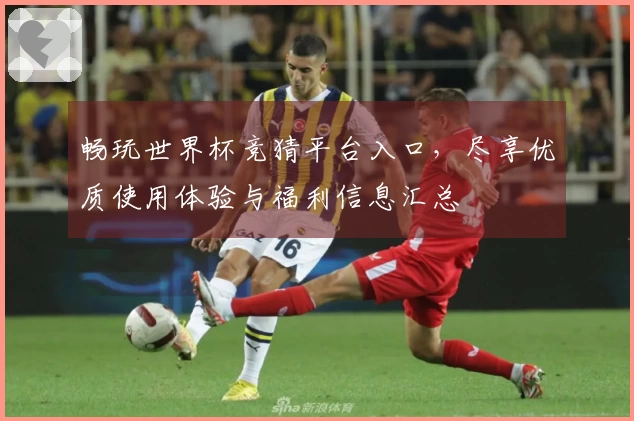 畅玩世界杯竞猜平台入口，尽享优质使用体验与福利信息汇总