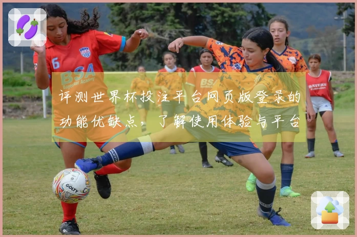 评测世界杯投注平台网页版登录的功能优缺点,了解使用体验与平台特点