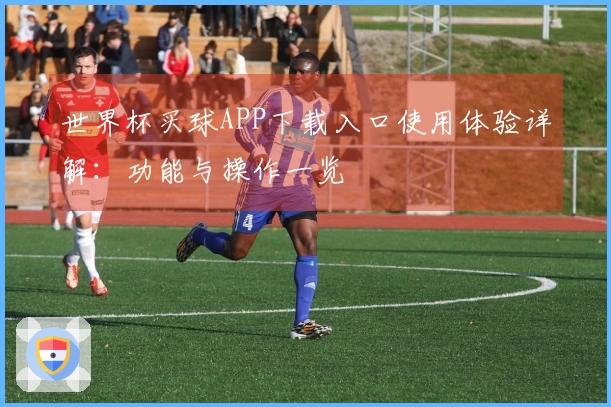 世界杯买球APP下载入口使用体验详解：功能与操作一览