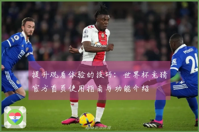 提升观看体验的技巧:世界杯竞猜官方首页使用指南与功能介绍