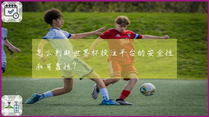 怎么判断世界杯投注平台的安全性和可靠性？