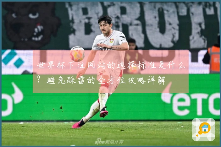 世界杯下注网站的选择标准是什么？避免踩雷的全方位攻略详解