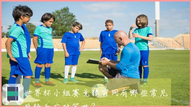 世界杯小组赛竞猜官网有哪些常见风险和应对策略？