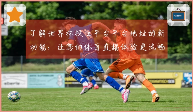 了解世界杯投注平台平台地址的新功能，让您的体育直播体验更流畅更精彩