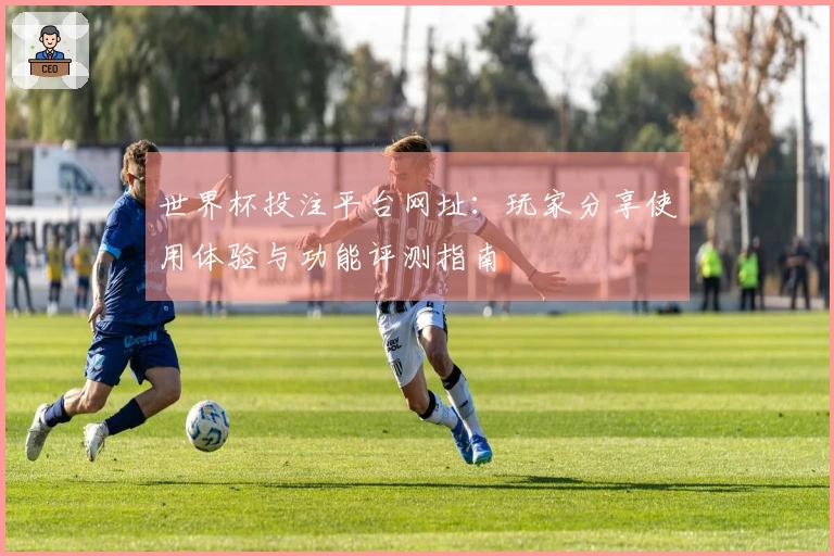 世界杯投注平台网址：玩家分享使用体验与功能评测指南