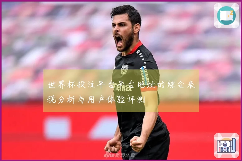 世界杯投注平台平台地址的综合表现分析与用户体验评测