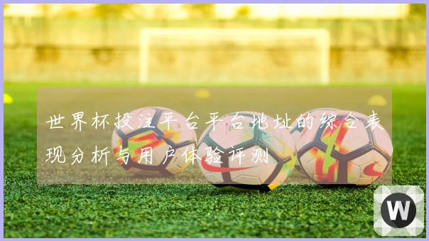 世界杯投注平台平台地址的综合表现分析与用户体验评测